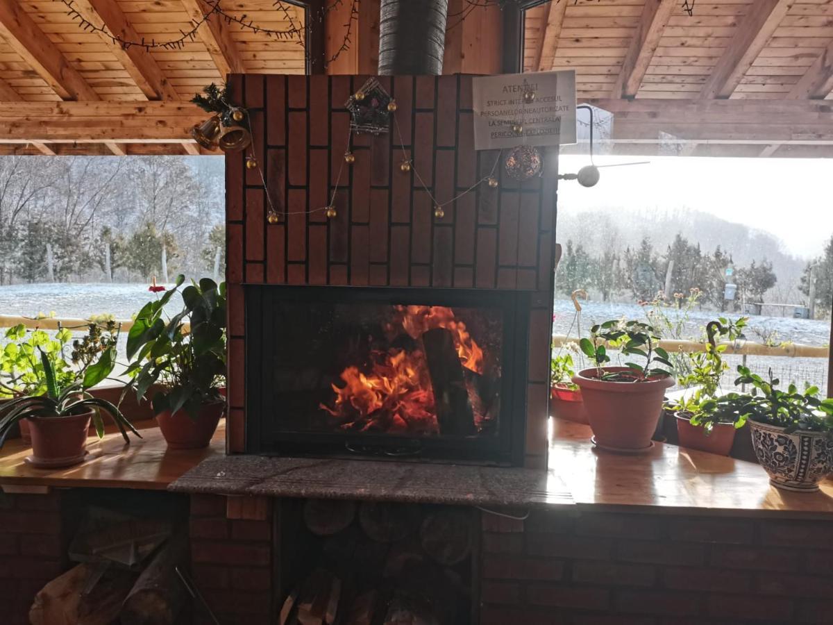 Pensiunea Izvorul Bucuriei Siriu Exteriér fotografie