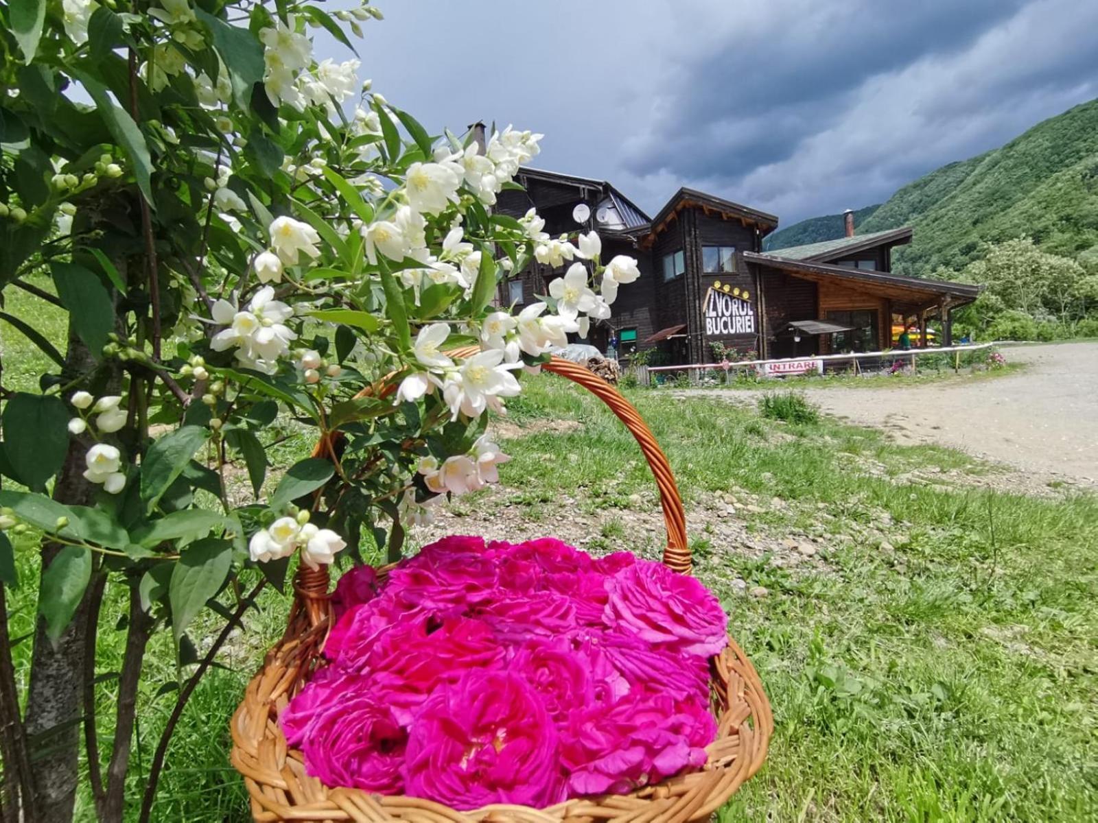 Pensiunea Izvorul Bucuriei Siriu Exteriér fotografie