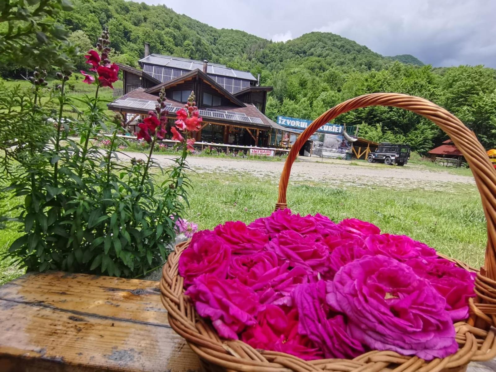 Pensiunea Izvorul Bucuriei Siriu Exteriér fotografie